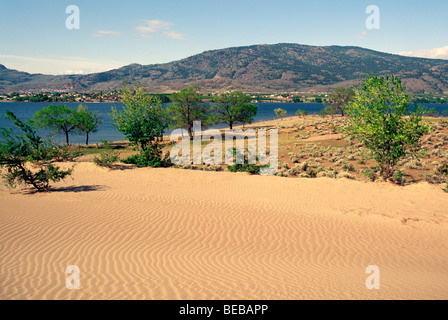 Wüstenlandschaft in der Nähe von Osoyoos, BC, South Okanagan Valley, British Columbia, Kanada - "Tasche" Wüste und Osoyoos Lake Scenics Stockfoto