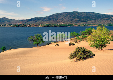 Wüstenlandschaft in der Nähe von Osoyoos, BC, South Okanagan Valley, British Columbia, Kanada - "Tasche" Wüste und Osoyoos Lake Scenic Stockfoto