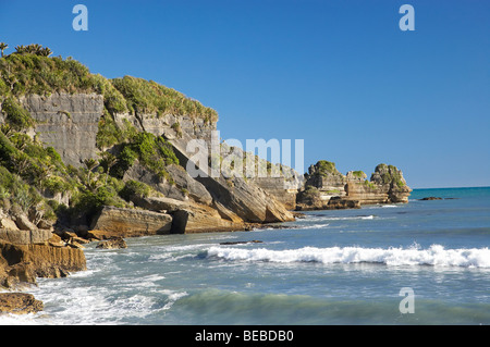 Küste bei Punakaiki, Paparoa National Park, West Coast, Südinsel, Neuseeland Stockfoto