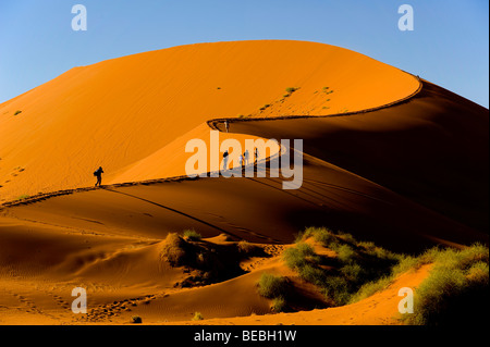 Touristen Klettern Düne Sossusvlei, Namib-Naukluft-Nationalpark Namibia Stockfoto