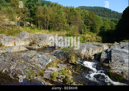 Wasserfälle am Fluss Rheidol, Ceredigion Mitte Wales, Herbstnachmittag, UK Stockfoto