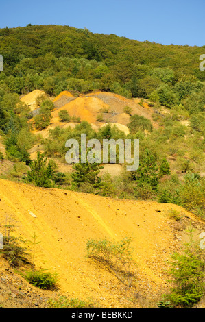 Gelbe ocker farbigen Giftmüll verderben aus alten Zink Bleiminen zurückgefordert wird langsam durch Pflanzen und Vegetation Mitte Wales UK Stockfoto