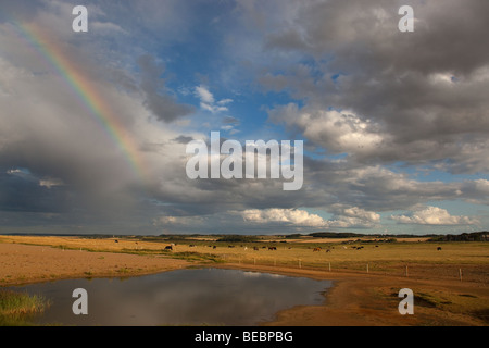 Regenbogen über Cley Nature Reserve North Norfolk Stockfoto