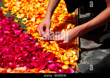 Blüten und Samen verwendet, um die Bilder in die Blumenteppiche an Fronleichnam feiern in La Orotava Teneriffa Stockfoto