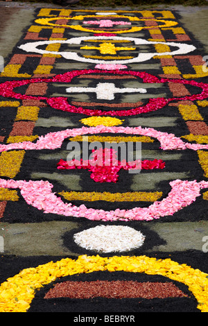 Blüten und Samen verwendet, um die Bilder in die Blumenteppiche an Fronleichnam feiern in La Orotava Teneriffa Stockfoto