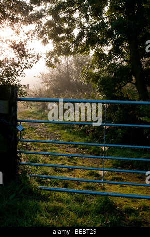 Großbritannien, England, Surrey, Telegraph hill Winterlandschaft 2009 Stockfoto