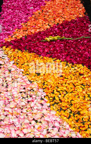 Blüten und Samen verwendet, um die Bilder in die Blumenteppiche an Fronleichnam feiern in La Orotava Teneriffa Stockfoto