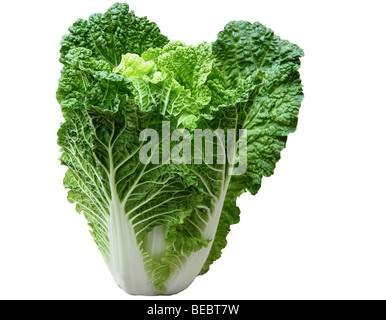 isolierte grüne Chinakohl auf weißem Hintergrund Stockfoto