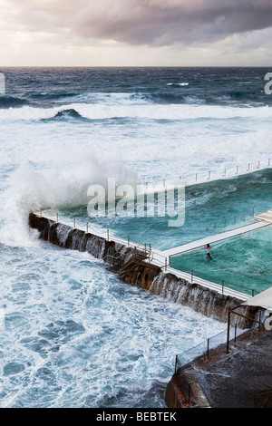 Schwimmer, Blick auf das Meer von einem Schwimmbad direkt am Meer am Bondi Beach, Sydney, Australien Stockfoto