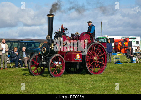 Zugmaschine Display auf Wensleydale Agrcultural Show statt Anfang September in der Nähe von Leyburn, North Yorkshire Stockfoto