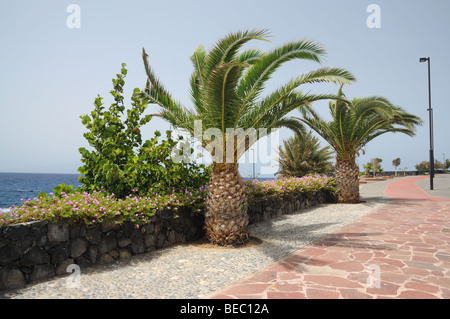Promenade auf der Kanarischen Insel Teneriffa, Spanien Stockfoto