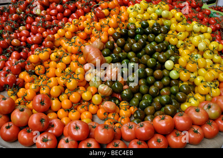 Verschiedene Arten von Tomaten auf Stall an der Borough Market, Southwark, London, England, UK Stockfoto