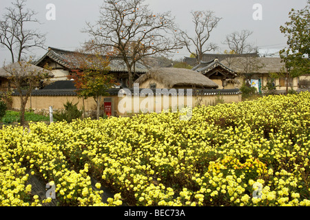 Traditionelle Architektur, Hahoe Folk Village, South Korea Stockfoto