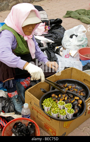 Straßenhändler, rösten Kastanien, Südkorea Stockfoto