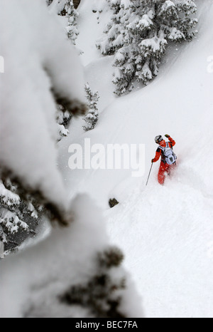 Skifahrer im Waldwege auf einem Powdertag, Chamonix, Frankreich Stockfoto