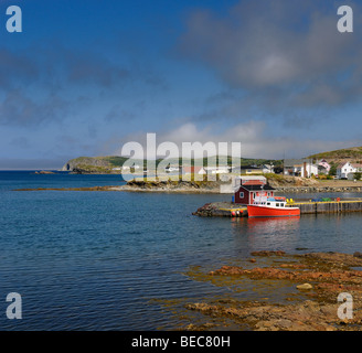 Felsige Küste und Tour der Betrieb der Boot im Hafen von Twillingate auf den Atlantischen Ozean Neufundland Stockfoto