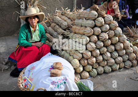 CAJABAMBA PERU - SEPTEMBER 6: Zuckerrohr Verkäufer auf einem Markt in Cajabamba, Peru am 6. September 2009 Stockfoto