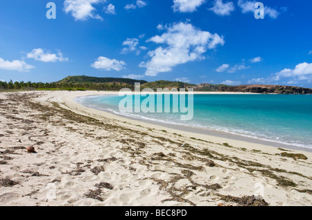 Landschaft. Keine Menschen. Schönen einsamen und leerer Strand mit klare blaue Wasser in Lombok. Indonesien Stockfoto