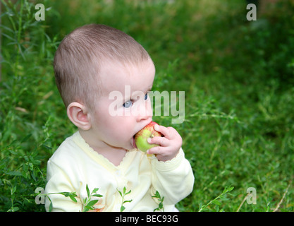 kleines Baby Apfel Grün Gras beißen Stockfoto