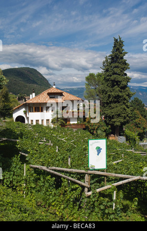 Sage, Weinberg, Weingut und Hotel, Kaltern oder Kaltern Südtirol, Trentino, Alto Adige, Italien, Europa Stockfoto