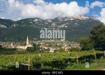 Weingarten, Bergdorf, Kaltern oder Kaltern, Trentino, Südtirol, Italien, Europa Stockfoto