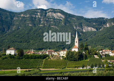 Weingarten, Bergdorf, Kaltern oder Kaltern, Trentino, Südtirol, Italien, Europa Stockfoto