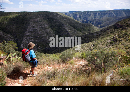 Frau im Bereich Guadalupe Mountains Lincoln National Forest New Mexico USA Wandern Stockfoto