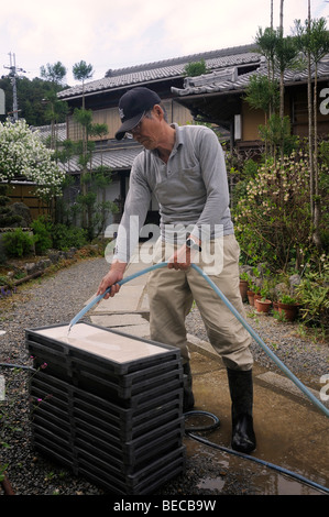 Mann, Bewässerung, künstliche Aussaat mats für Reiskörner, bevor sie in den Inkubator, Iwakura, Japan, Südostasien, Asien kommen Stockfoto