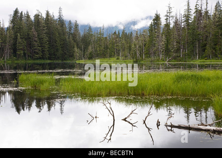 Kran-See in der Nähe von Petersburg, Tongass National Forest, Mitkof-Insel, Südost-Alaska, Alaska, USA, Nordamerika Stockfoto