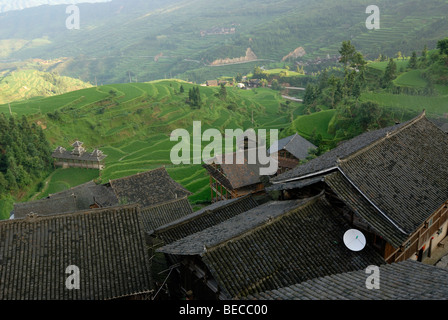 Reisterrassen, Tang ein Dorf der Dong Minderheit mit traditionellen landwirtschaftlichen Häuser, Guizhou, China, Asien Stockfoto