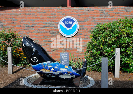 Wal-Skulptur außerhalb des Woods Hole Wissenschaft Aquariums in Falmouth Cape Cod Stockfoto