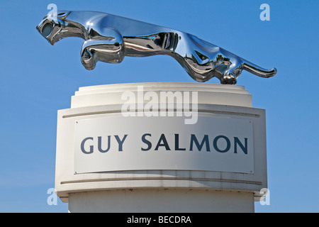 Die Jaguar Cars Ltd Logo außerhalb der Guy Salmon-Autohaus in Ascot, Berkshire, UK. Stockfoto