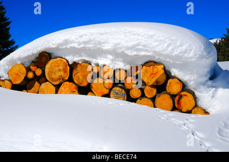 Forstwirtschaft, schneiden Sie Protokolle unter einer dicken Schneedecke, Jura, Schweiz Stockfoto