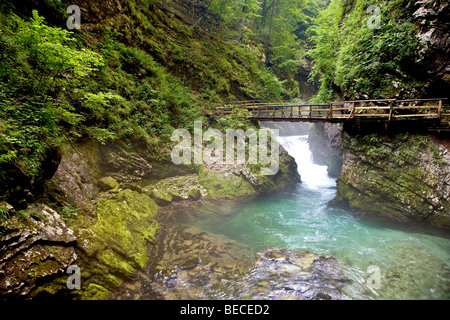 Vintgar Gorge Triglav National Park in der Nähe der Stadt Bled in Slowenien Stockfoto