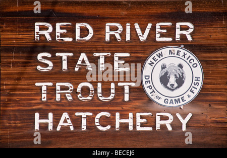 Red River State Forelle Brüterei in der Nähe von Red River, New-Mexico. Stockfoto