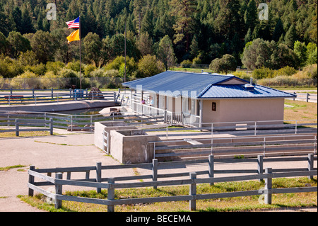 Red River State Forelle Brüterei in der Nähe von Red River, New-Mexico. Stockfoto