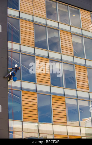 Fenster Reiniger mit industrial Rope Access Techniken Abseilen, Fassade, saubere Fenster der moderne Bürogebäude Cardiff Bay Stockfoto