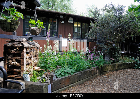 Ökologie-Zentrum im Naturpark Camley Street Stockfoto