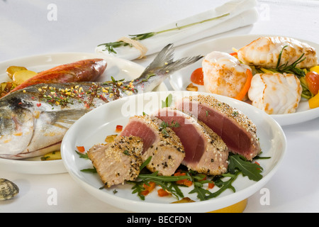 Tunfisch-Filet mit Sesamkruste Stockfoto