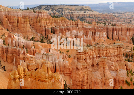 Kalkstein-Formationen der Bryce Canyon im Abendlicht, Bryce-Canyon-Nationalpark, Utah, USA Stockfoto