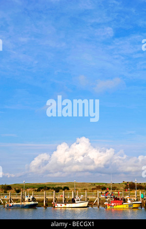 Bunte Fischerboote im Hafen von Roggen, Grafschaft Kent, England, Europa Stockfoto