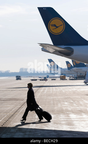 Eine Stewardess die deutsche Fluggesellschaft Lufthansa zu Fuß vorbei an einer Reihe von Lufthansa Flugzeuge, Flughafen München, Bayern, Deutschland, Europa Stockfoto