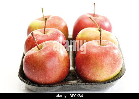 Jonagold Äpfel auf ein Kunststoff-Tablett Stockfoto