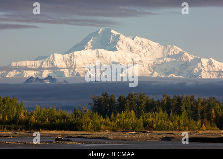 Mt. McKinley aus Denali Straße in Herbst, Alaska, USA, Nordamerika Stockfoto