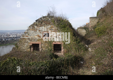 Haus der Knochen bei Ehrenbreitstein Festung, Koblenz, Rheinland-Pfalz, Deutschland, Europa Stockfoto