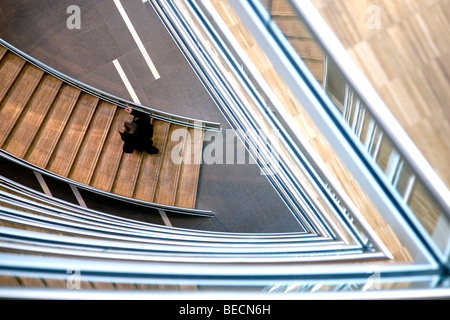 Treppe im Aviation Center, Deutsche Lufthansa AG, Frankfurt Am Main, Hessen, Deutschland, Europa Stockfoto