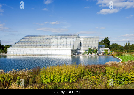 Wisley RHS Garden. Das Gewächshaus. Surrey, UK Stockfoto