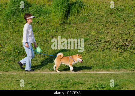 Hundeführer mit Poo Tasche zu Fuß eine Shiba, japanische Hunderasse in Kamo Fluss, Kyoto, Japan, Asien Stockfoto