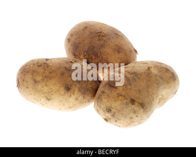 Maris Piper Kartoffeln Stockfoto