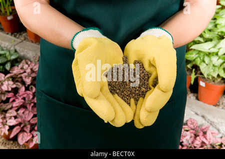 Frau mit einer Handvoll Kompost in einem Gewächshaus Stockfoto